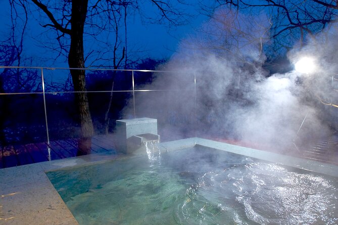 4-Day Luxury Tohoku Snow Retreat: Appreciate the Stillness - Unwind in the Luxury of Your Ryokan
