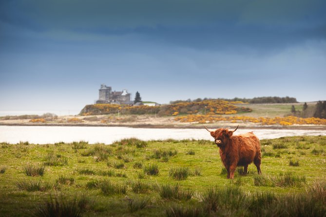 4-Day Magical Mull, Iona & West Highlands Small-Group Tour From Edinburgh - Small-Group Personalized Journey
