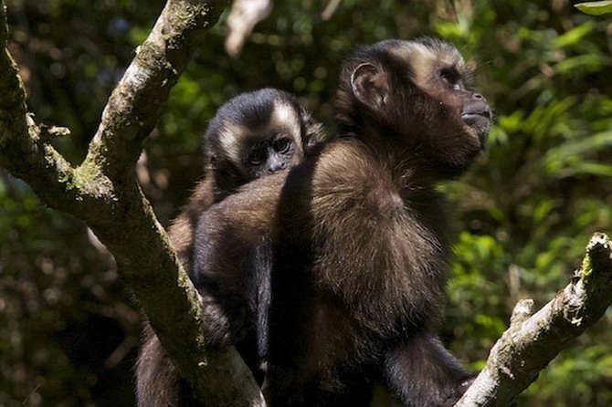 4-Day Manu Jungle Trip From Cusco - Inclusions and Amenities