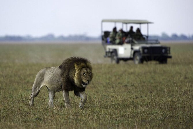 4-Day Manyara Serengeti and Ngorongoro Wonders Budget Safari Tour - Cancellation Policy