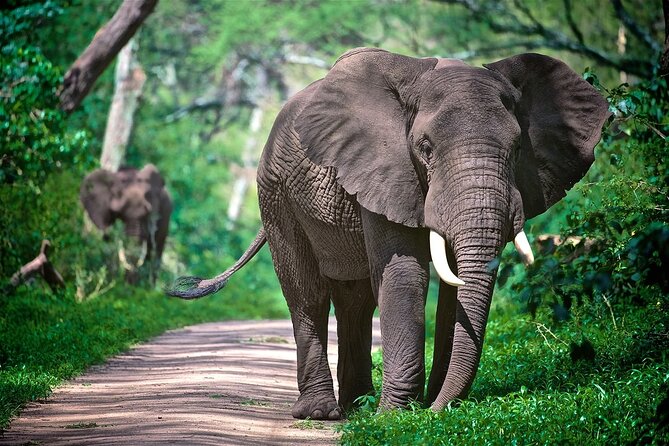 4-Day Manyara Serengeti and Ngorongoro Wonders Budget Safari Tour - Itinerary Details