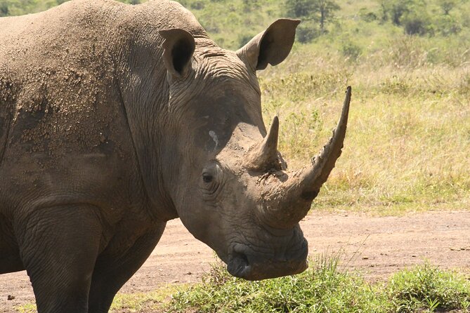 4-Day Masai Mara and Lake Nakuru Safari From Nairobi. - Safari Itinerary