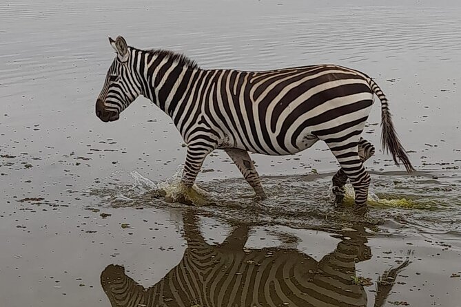 4-Day Masai Mara and Lake Nakuru Safari From Nairobi - Lake Nakuru Adventure