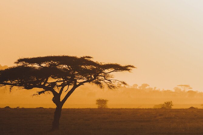 4-Day Masai Mara and Lake Nakuru Safari Tour From Nairobi - Pickup Information