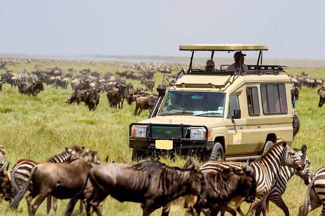 4 Day Masai Mara & Lake Nakuru Group Joining Camping Safari - Daily Departures - Visiting Masai Mara