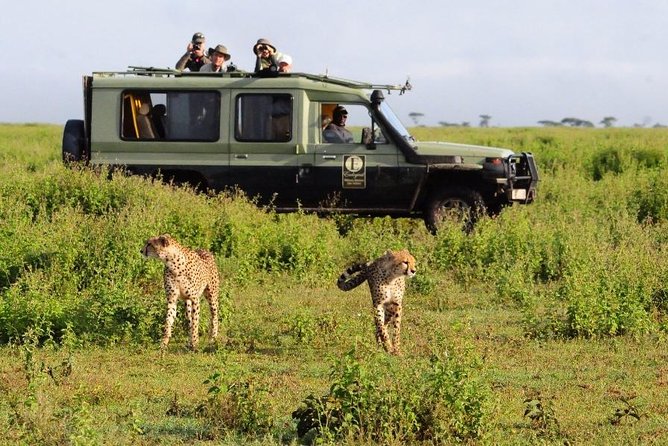 4 Day Masai Mara & Lake Nakuru Group Joining Camping Safari - Daily Departures - Additional Information