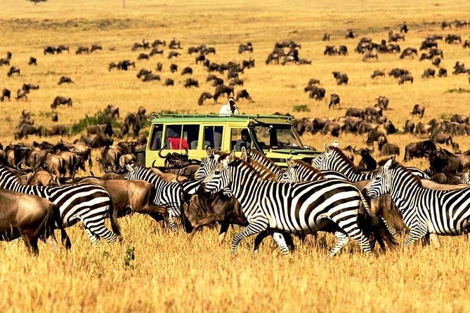 4 Day Mid-range Safari Serengeti , Ngorongoro and Tarangire National Park - Safari Overview