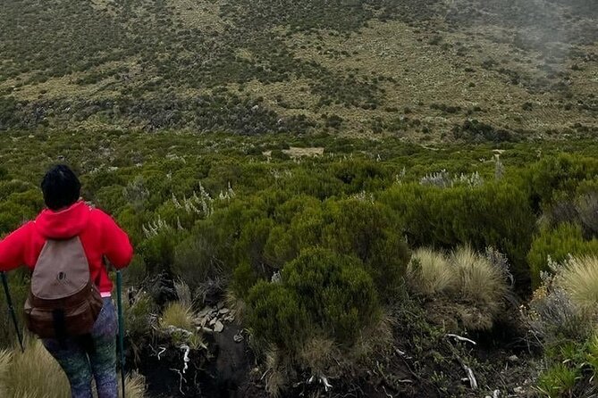 4-Day Mount Kenya Trekking With Pick up - Group Size