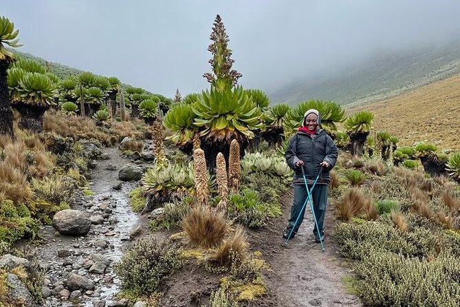 4-Day Mount Kenya Trekking With Pick up - Pricing Information