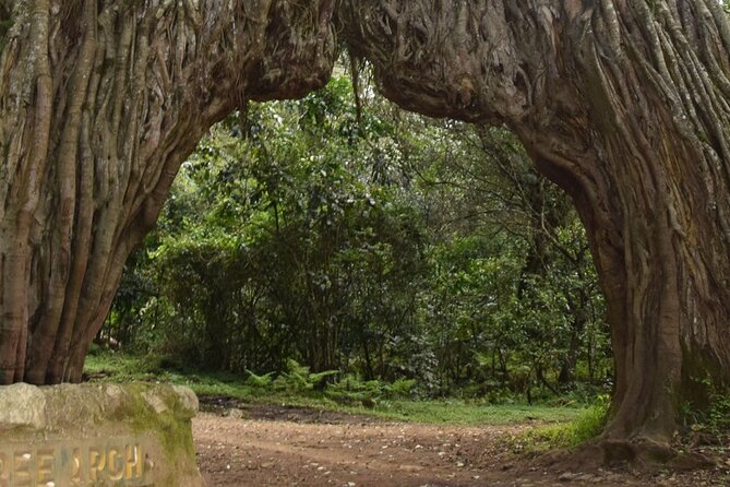 4-day Mount Meru Treks - Transportation Options