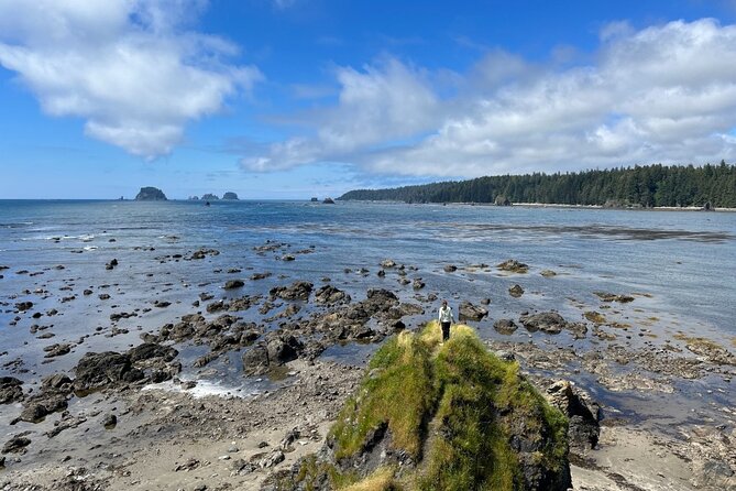 4-Day Olympic Backpacking Tour in North Coast - Navigating Olympic National Park Trails