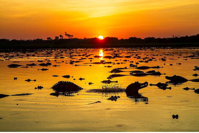 4-Day Pantanal Tour With Accommodation - Departing From Cuiaba - Inclusions and Logistics