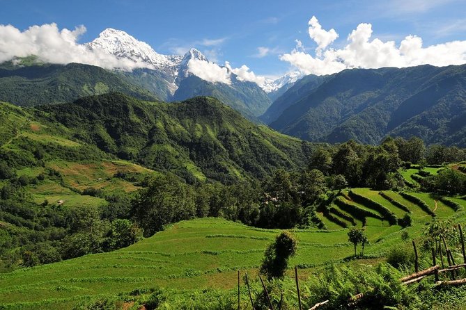 4-day Poon Hill Trek - Reviews and Ratings