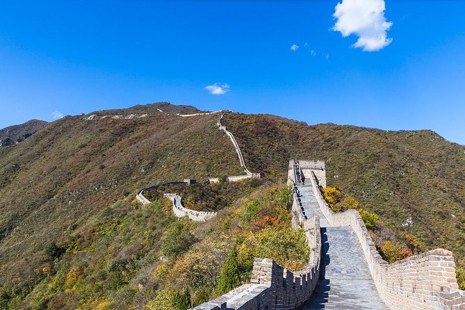 4-Day Private Beijing Tour From Shanghai - Reviews and Ratings