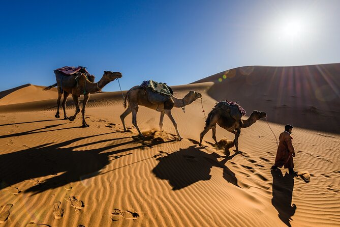 4 Day Private Desert to Merzouga From Marrakech - Key Points