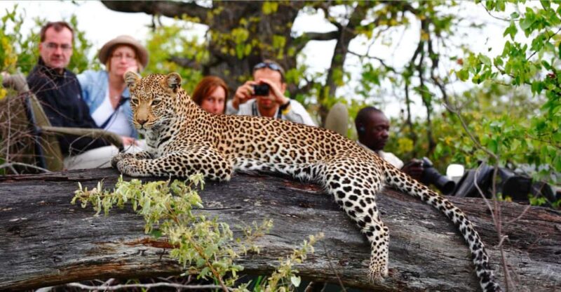 4 Day Private Garden Route & Wine Route Safari Fro Cape Town - Key Points