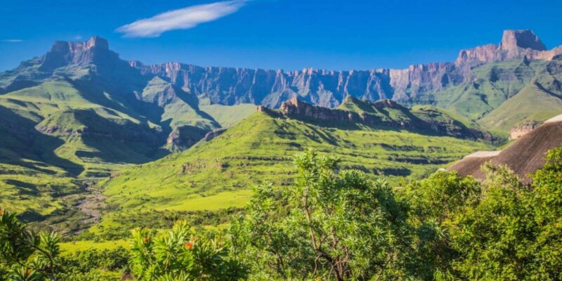 4 Day Private Garden Route & Wine Route Safari Fro Cape Town - Itinerary Highlights