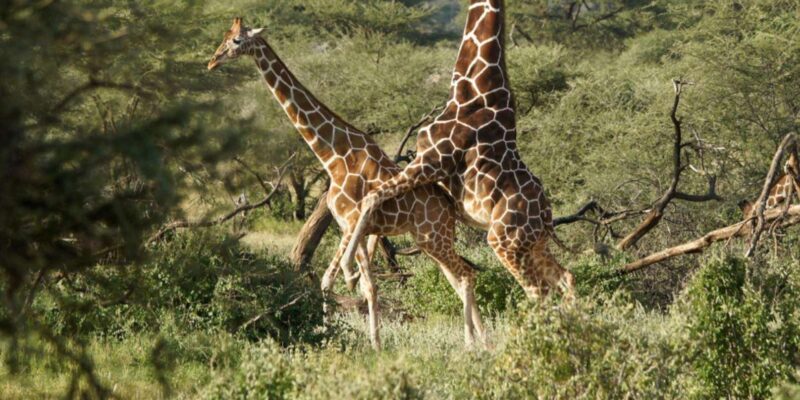 4 Day Private Garden Route & Wine Route Safari Fro Cape Town - Robberg Nature Reserve Hike