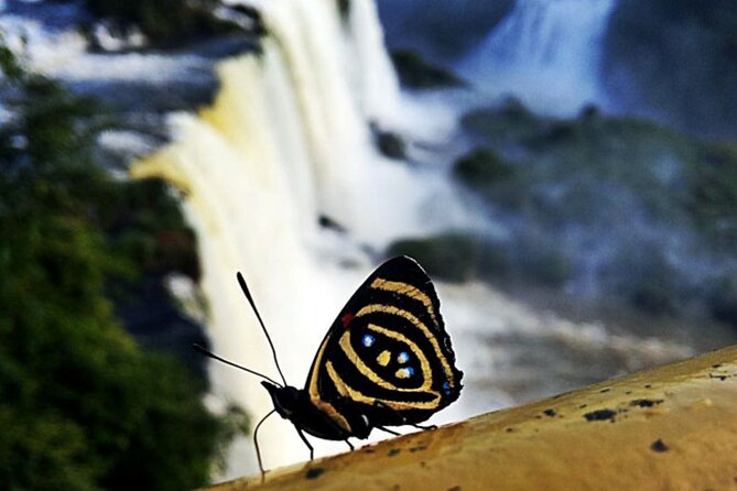 4-Day Private Guided Tour of Iguazu Falls - Key Points