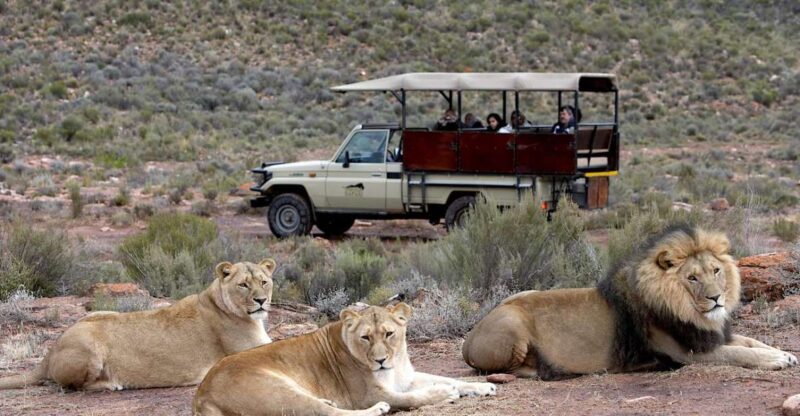 4-Day Private Highlights Tour & Overnight Big5 Aquila Safari - Key Points