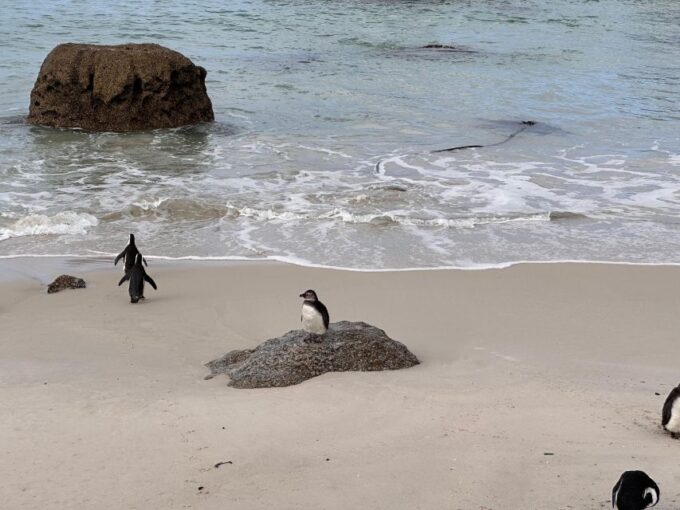 4-Day Private Highlights Tour & Overnight Big5 Aquila Safari - Inclusions and Exclusions