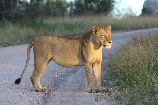 4 Day Private Kruger Under Canvas Safari - Additional Information