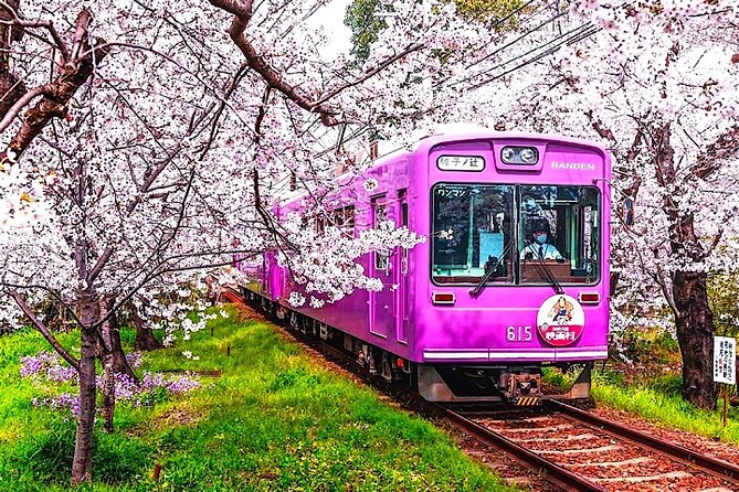 4-Day Private Kyoto Osaka Nara Sightseeing Tour With Guide - Included Services