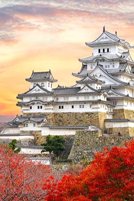 4-Day Private Kyoto Osaka Nara Sightseeing Tour With Guide - Key Points