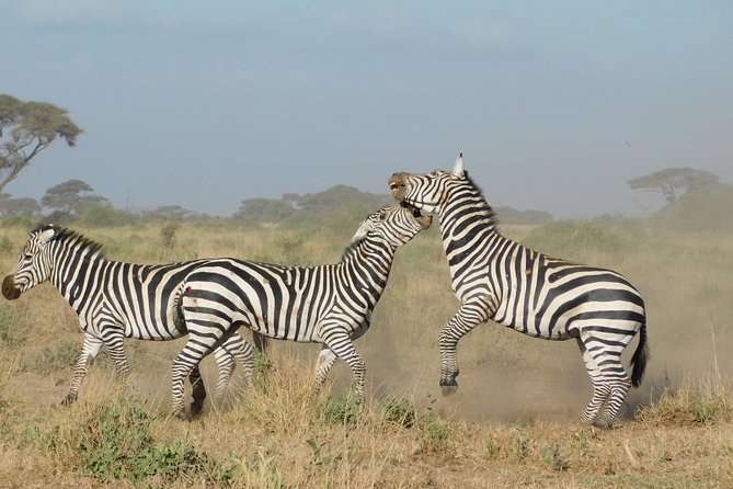 4 Day Private Masai Mara National Reserve & Lake Nakuru National Park Safari - Unlimited Mileage Game Drives