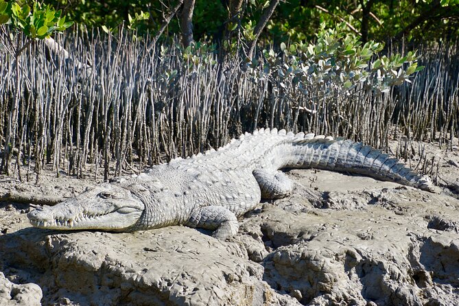 4-Day Private Miami Tour With Transportation - Group Participation