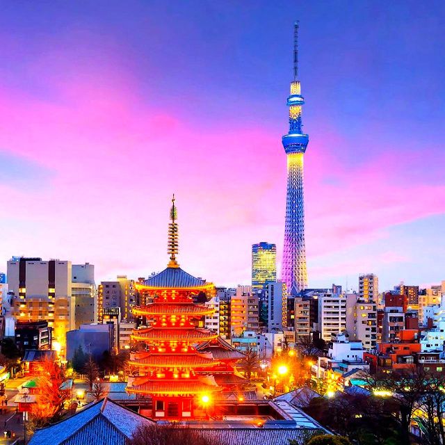 4-Day Private Mt. Fuji, Tokyo, Kamakura, Hakone, Nikko, Yokohama - Key Points