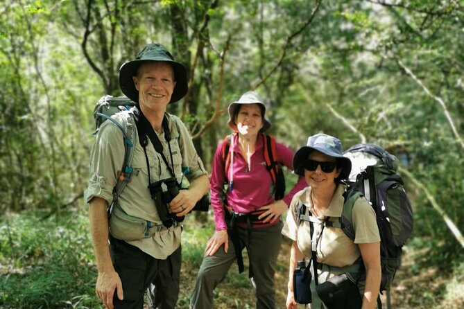 4-Day Private Natal Midlands Falls to Falls Tour - Itinerary