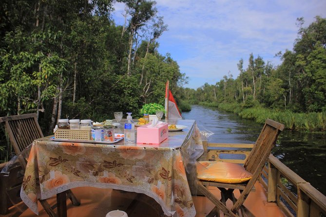 4-Day Private Orangutan and Bornean Primates Tour From Pangkalanbuun - Inclusions