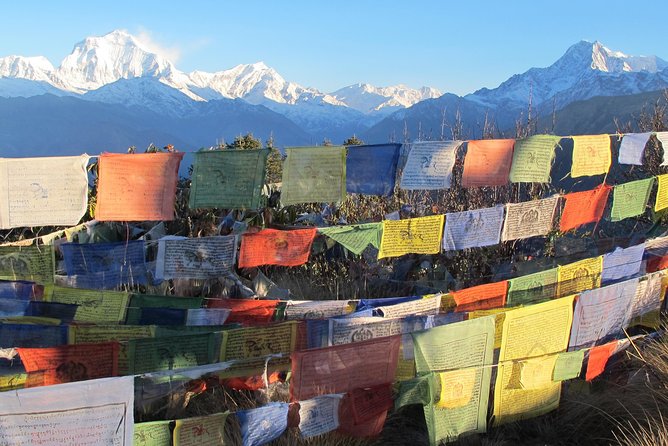 4-Day Private Poon Hill Trekking Tour - Pickup and Logistics