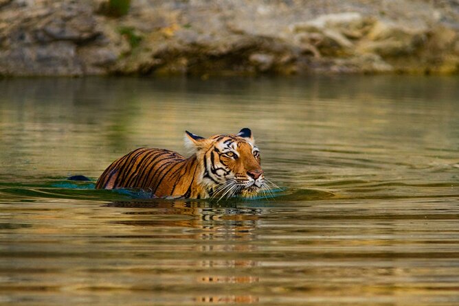4-Day Private Ranthambhore Tiger Tour Including Delhi, Agra and Jaipur - Transportation Details