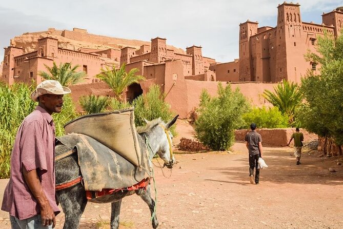 4 Day Private Tour From Fes to Merzouga Desert and Marrakech - Guidance and Accessibility