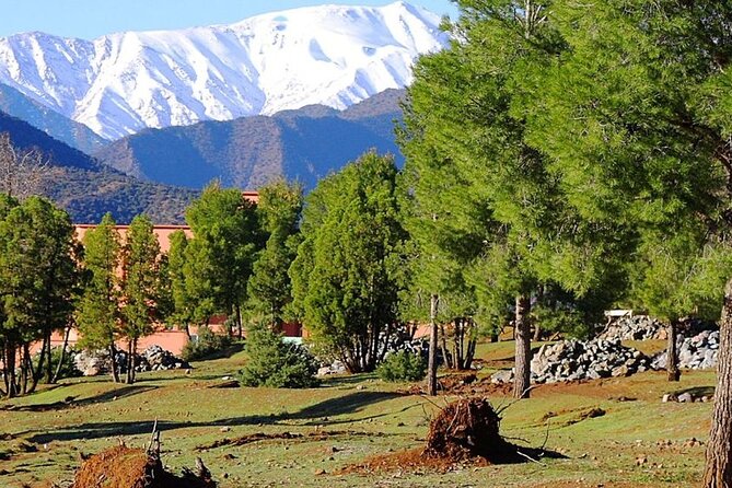 4 Day Private Tour From Fes to Merzouga Desert and Marrakech - Reviews and Ratings