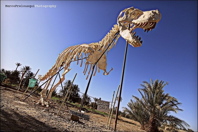 4 Day Private Tour From Fes to Merzouga Desert and Marrakech - Accommodations and Amenities