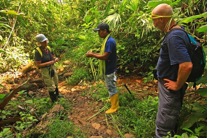 4 Day Private Tour From Volcanoes Route to the Amazon Rainforest - Exploring the Ecuadorian Amazon