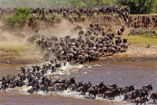 4-Day Private Tour in Masai Mara - Transportation Amenities