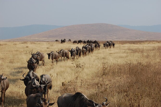 4-Day Private Tour in Masai Mara - Equipment and Fees