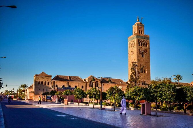 4-Day Private Tour in Morocco With Camel Ride - Customer Reviews and Feedback