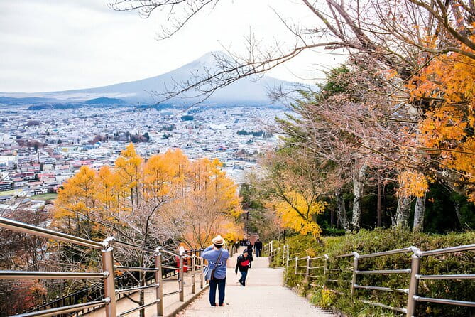 4-Day Private Tour MT Fuji, Kamakura, Hakone, Nikko - Inclusions