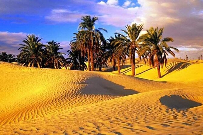 4-Day Private Tour: Sahara and Djerba Island From Tunis and Hammamet - Dining and Cuisine
