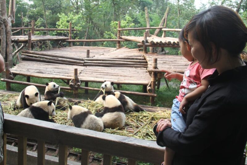 4-Day Private Tour to Chengdu, Leshan and Mount Emei - Experience and Activities