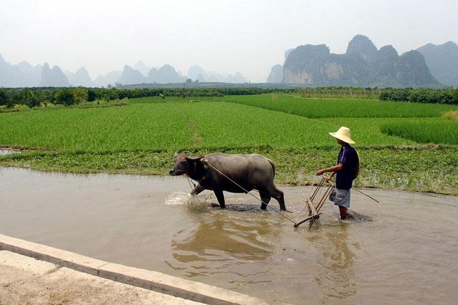 4-Day Private Tour to Guilin and Yangshuo - Itinerary Details