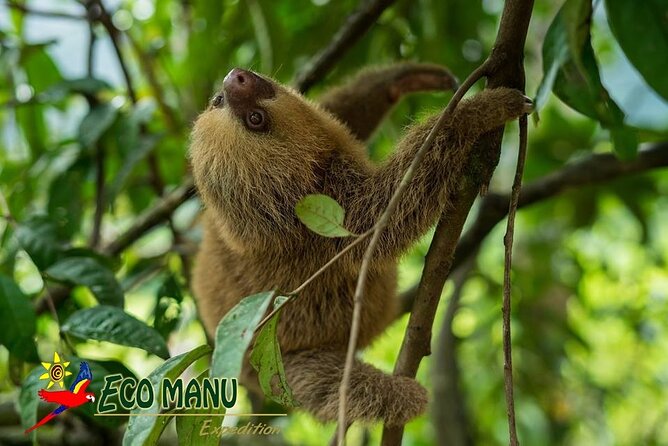 4-Day Private Tour to Manu National Park From Cusco - Highlights of the Itinerary