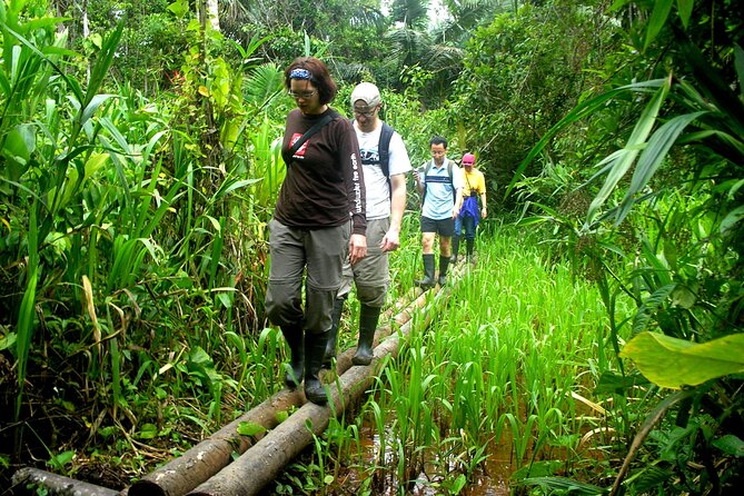 4-Day Private Tour to Manu National Park From Cusco - Wildlife Sightings and Observation