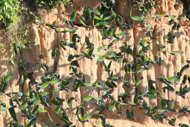 4-Day Private Tour to Manu National Park From Cusco - Accommodation and Meals