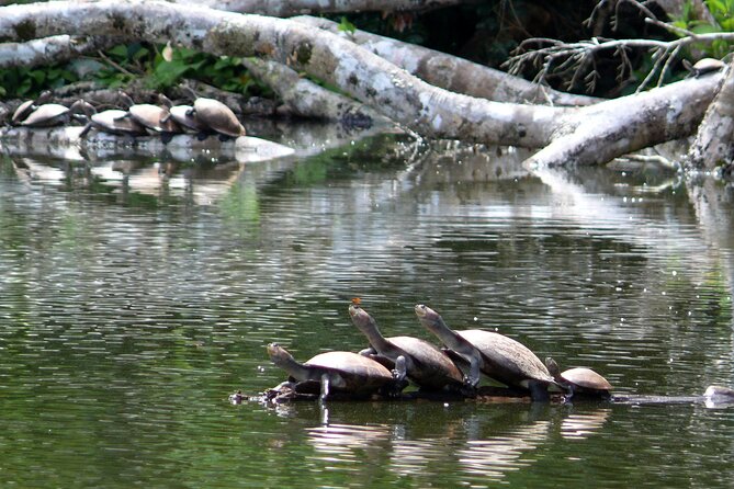 4-Day Private Tour to Manu National Park From Cusco - Booking and Cancellation Policy